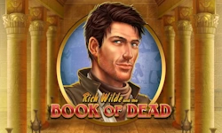 Book of Dead slot by Play’n GO