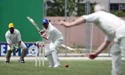 Cricket field